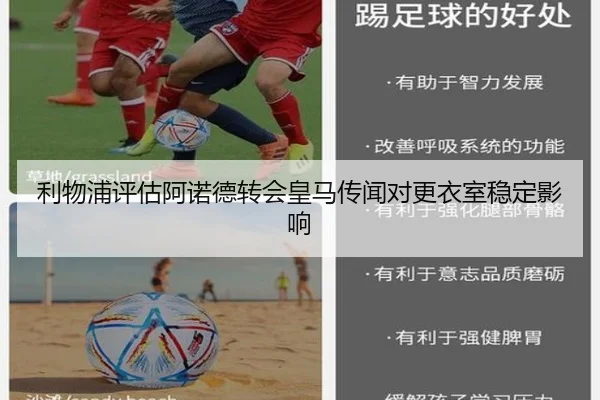 img_1780174559776_2188_1_422.jpg