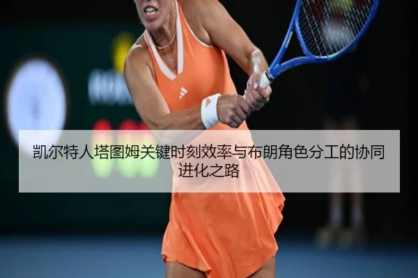 kai-er-te-ren-ta-tu-mu-guan-jian-shi-ke-xiao-lv-yu-bu-lang-jue-se-fen-gong-de-xie-tong-jin-hua-zhi-lu-2-109.jpg